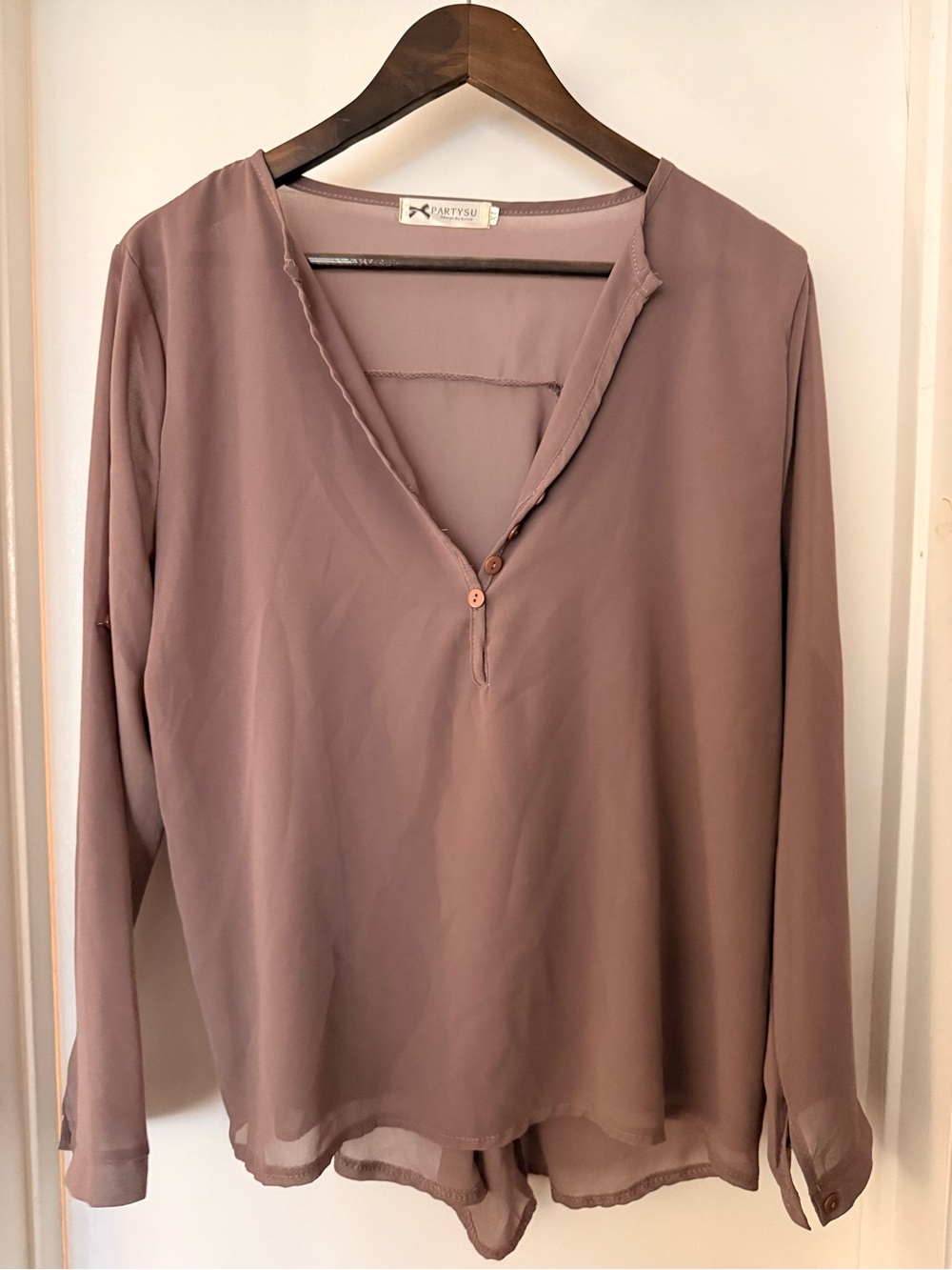 Women's Mauve Sheer V-Neck Long Sleeve Blouse
